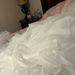 David’s Bridal wedding dress. Bought 2022.Gorgeous dress, with veil & gown bag